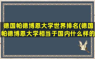 德国帕德博恩大学世界排名(德国帕德博恩大学相当于国内什么样的大学)