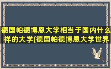 德国帕德博恩大学相当于国内什么样的大学(德国帕德博恩大学世界排名)