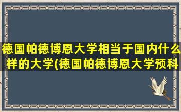 德国帕德博恩大学相当于国内什么样的大学(德国帕德博恩大学预科官网)