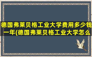 德国弗莱贝格工业大学费用多少钱一年(德国弗莱贝格工业大学怎么样)