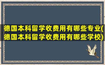 德国本科留学收费用有哪些专业(德国本科留学收费用有哪些学校)