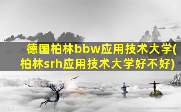 德国柏林bbw应用技术大学(柏林srh应用技术大学好不好)