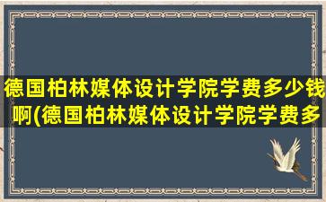 德国柏林媒体设计学院学费多少钱啊(德国柏林媒体设计学院学费多少钱一个月)