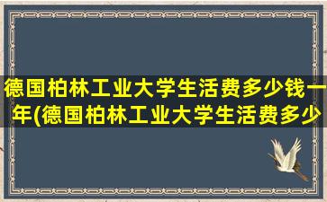 德国柏林工业大学生活费多少钱一年(德国柏林工业大学生活费多少钱)