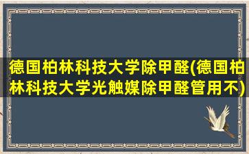 德国柏林科技大学除甲醛(德国柏林科技大学光触媒除甲醛管用不)