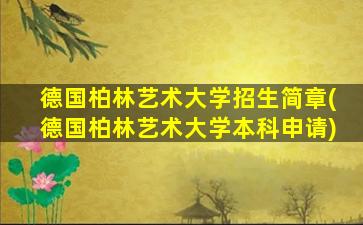 德国柏林艺术大学招生简章(德国柏林艺术大学本科申请)