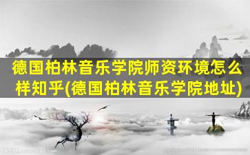 德国柏林音乐学院师资环境怎么样知乎(德国柏林音乐学院地址)