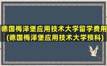 德国梅泽堡应用技术大学留学费用(德国梅泽堡应用技术大学预科)