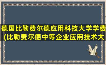 德国比勒费尔德应用科技大学学费(比勒费尔德中等企业应用技术大学)