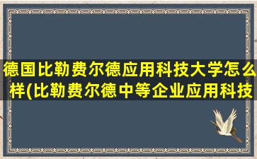 德国比勒费尔德应用科技大学怎么样(比勒费尔德中等企业应用科技大学)