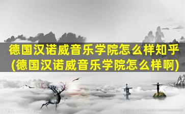 德国汉诺威音乐学院怎么样知乎(德国汉诺威音乐学院怎么样啊)