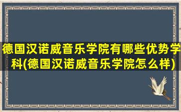 德国汉诺威音乐学院有哪些优势学科(德国汉诺威音乐学院怎么样)