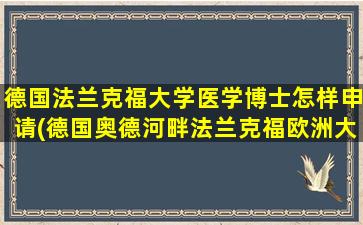 德国法兰克福大学医学博士怎样申请(德国奥德河畔法兰克福欧洲大学)