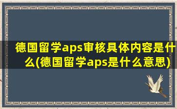 德国留学aps审核具体内容是什么(德国留学aps是什么意思)