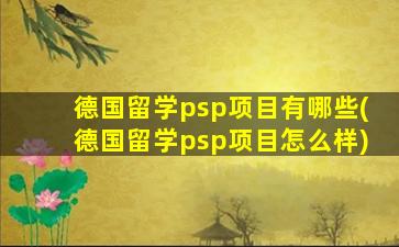 德国留学psp项目有哪些(德国留学psp项目怎么样)