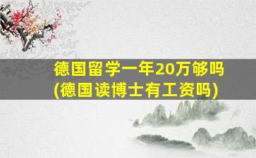 德国留学一年20万够吗(德国读博士有工资吗)