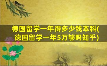 德国留学一年得多少钱本科(德国留学一年5万够吗知乎)