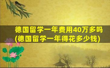 德国留学一年费用40万多吗(德国留学一年得花多少钱)