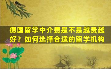 德国留学中介费是不是越贵越好？如何选择合适的留学机构