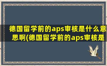 德国留学前的aps审核是什么意思啊(德国留学前的aps审核是什么内容)