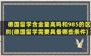 德国留学含金量高吗和985的区别(德国留学需要具备哪些条件)