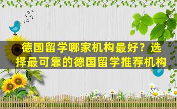 德国留学哪家机构最好？选择最可靠的德国留学推荐机构