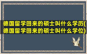 德国留学回来的硕士叫什么学历(德国留学回来的硕士叫什么学位)