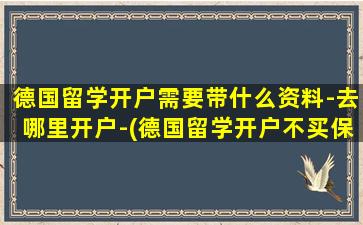 德国留学开户需要带什么资料-去哪里开户-(德国留学开户不买保险)