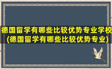 德国留学有哪些比较优势专业学校(德国留学有哪些比较优势专业)