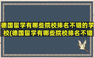 德国留学有哪些院校排名不错的学校(德国留学有哪些院校排名不错的大学)