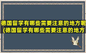 德国留学有哪些需要注意的地方呢(德国留学有哪些需要注意的地方和事项)