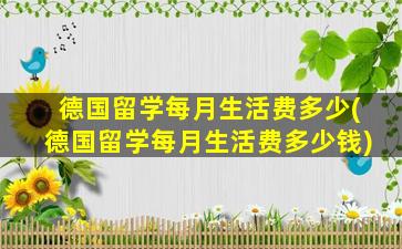 德国留学每月生活费多少(德国留学每月生活费多少钱)