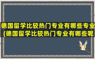 德国留学比较热门专业有哪些专业(德国留学比较热门专业有哪些呢)