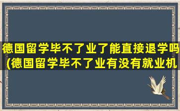 德国留学毕不了业了能直接退学吗(德国留学毕不了业有没有就业机会)