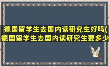 德国留学生去国内读研究生好吗(德国留学生去国内读研究生要多少钱)