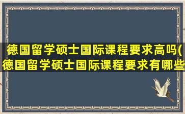 德国留学硕士国际课程要求高吗(德国留学硕士国际课程要求有哪些)