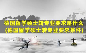 德国留学硕士转专业要求是什么(德国留学硕士转专业要求条件)