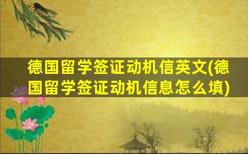 德国留学签证动机信英文(德国留学签证动机信息怎么填)