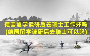 德国留学读研后去瑞士工作好吗(德国留学读研后去瑞士可以吗)