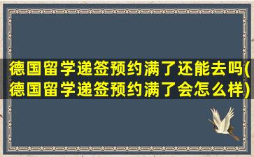 德国留学递签预约满了还能去吗(德国留学递签预约满了会怎么样)