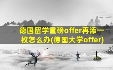 德国留学重磅offer再添一枚怎么办(德国大学offer)