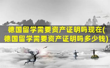 德国留学需要资产证明吗现在(德国留学需要资产证明吗多少钱)