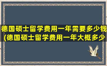 德国硕士留学费用一年需要多少钱(德国硕士留学费用一年大概多少)