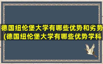 德国纽伦堡大学有哪些优势和劣势(德国纽伦堡大学有哪些优势学科)