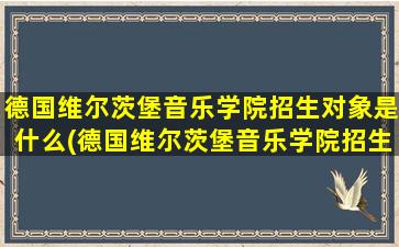 德国维尔茨堡音乐学院招生对象是什么(德国维尔茨堡音乐学院招生对象是)