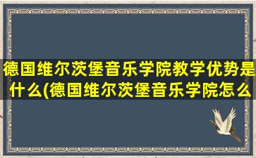 德国维尔茨堡音乐学院教学优势是什么(德国维尔茨堡音乐学院怎么样)