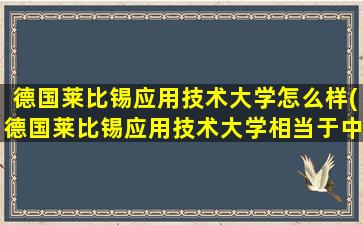 德国莱比锡应用技术大学怎么样(德国莱比锡应用技术大学相当于中国)