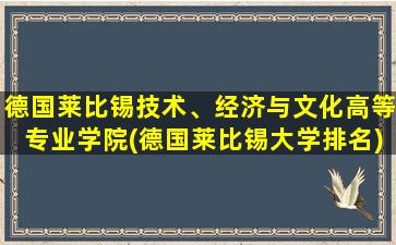 德国莱比锡技术、经济与文化高等专业学院(德国莱比锡大学排名)