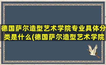 德国萨尔造型艺术学院专业具体分类是什么(德国萨尔造型艺术学院专业具体分类)