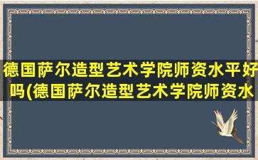 德国萨尔造型艺术学院师资水平好吗(德国萨尔造型艺术学院师资水平好吗怎么样)